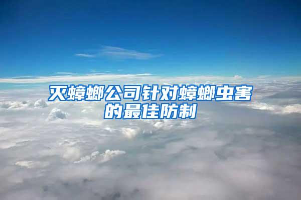 滅蟑螂公司針對蟑螂蟲害的最佳防制