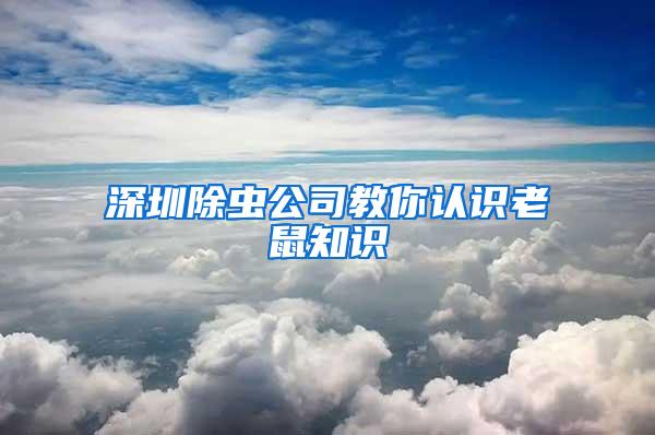 深圳除蟲公司教你認識老鼠知識