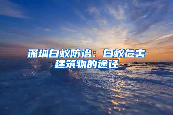 深圳白蟻防治：白蟻危害建筑物的途徑