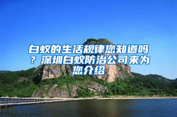 白蟻的生活規律您知道嗎？深圳白蟻防治公司來為您介紹