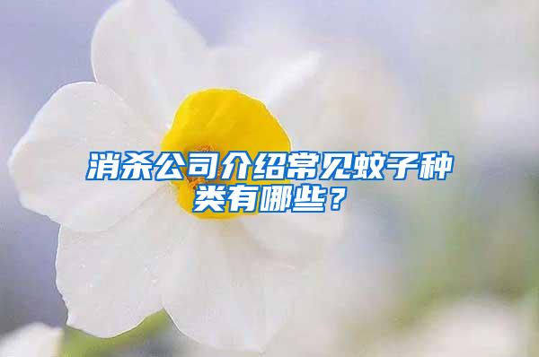 消殺公司介紹常見蚊子種類有哪些？