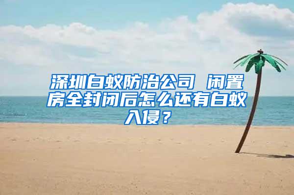 深圳白蟻防治公司 閑置房全封閉后怎么還有白蟻入侵？