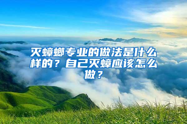 滅蟑螂專業的做法是什么樣的？自己滅蟑應該怎么做？