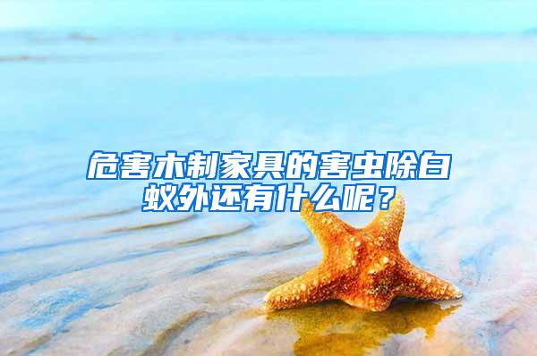 危害木制家具的害蟲除白蟻外還有什么呢？