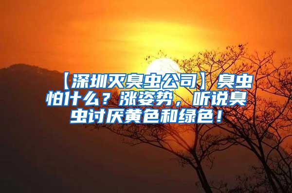 【深圳滅臭蟲公司】臭蟲怕什么？漲姿勢，聽說臭蟲討厭黃色和綠色！