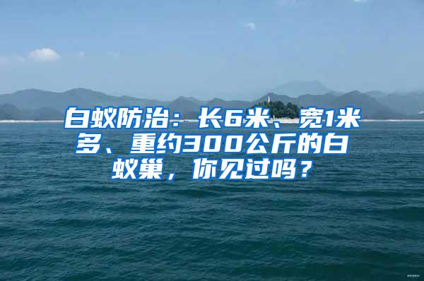 白蟻防治：長6米、寬1米多、重約300公斤的白蟻巢，你見過嗎？