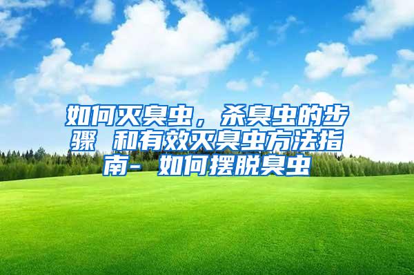 如何滅臭蟲，殺臭蟲的步驟 和有效滅臭蟲方法指南- 如何擺脫臭蟲