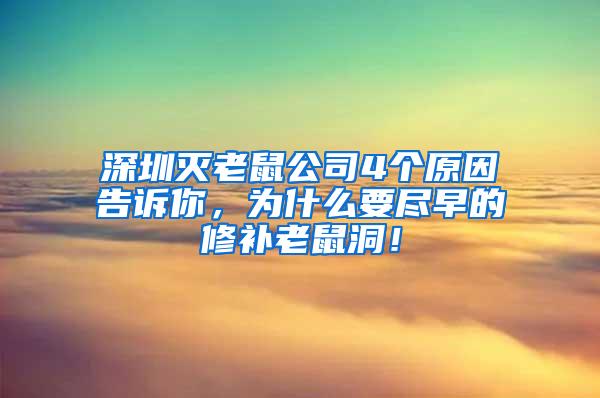 深圳滅老鼠公司4個原因告訴你，為什么要盡早的修補老鼠洞！