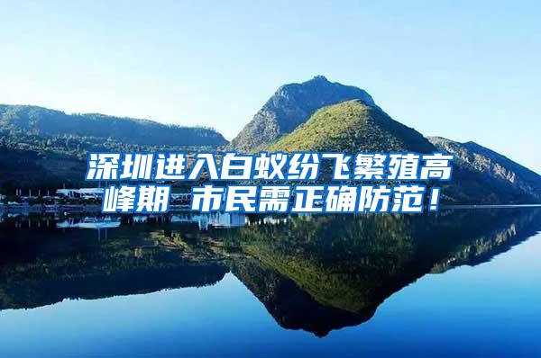 深圳進入白蟻紛飛繁殖高峰期 市民需正確防范！