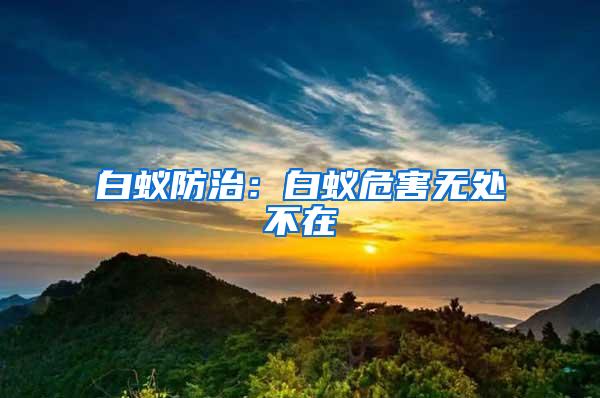 白蟻防治：白蟻危害無處不在