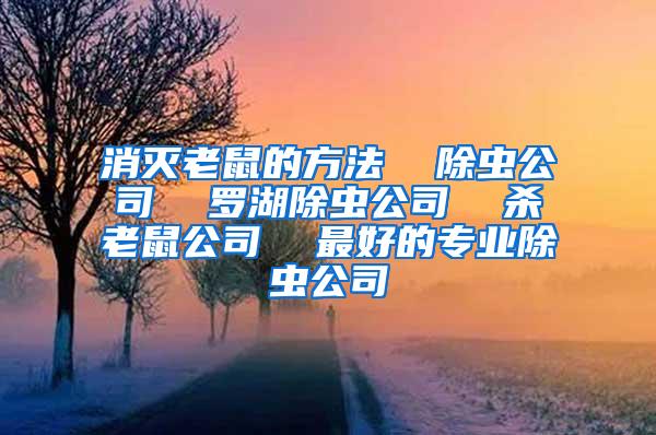 消滅老鼠的方法  除蟲公司  羅湖除蟲公司  殺老鼠公司  最好的專業除蟲公司