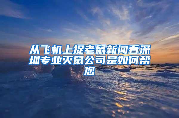 從飛機上捉老鼠新聞看深圳專業滅鼠公司是如何幫您