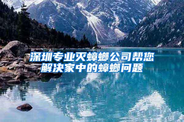 深圳專業(yè)滅蟑螂公司幫您解決家中的蟑螂問題