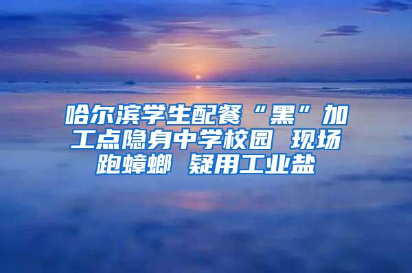 哈爾濱學生配餐“黑”加工點隱身中學校園 現場跑蟑螂 疑用工業鹽