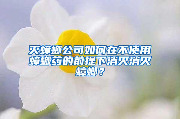 滅蟑螂公司如何在不使用蟑螂藥的前提下消滅消滅蟑螂？