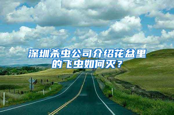 深圳殺蟲公司介紹花盆里的飛蟲如何滅？