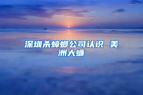 深圳殺蟑螂公司認識 美洲大蠊