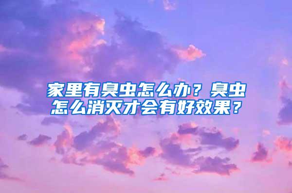 家里有臭蟲怎么辦？臭蟲怎么消滅才會有好效果？