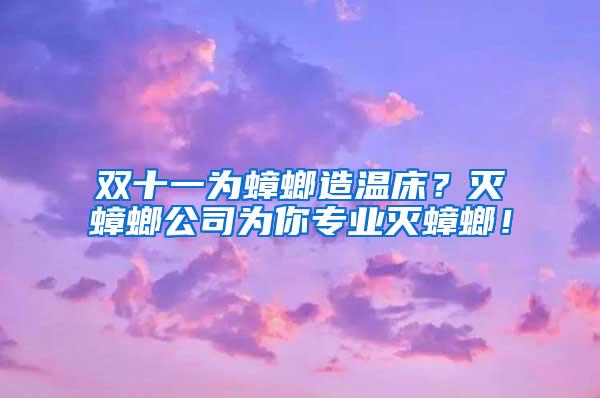 雙十一為蟑螂造溫床？滅蟑螂公司為你專業滅蟑螂！