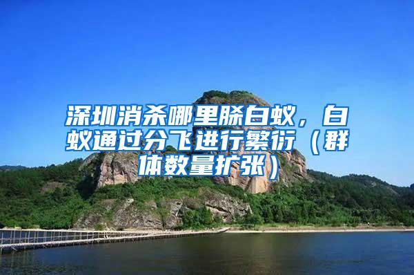 深圳消殺哪里脎白蟻，白蟻通過分飛進行繁衍（群體數量擴張）