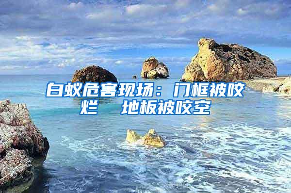 白蟻危害現場：門框被咬爛  地板被咬空