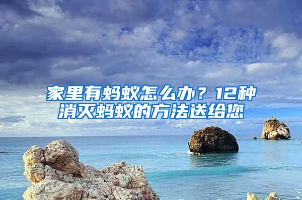 家里有螞蟻怎么辦？12種消滅螞蟻的方法送給您