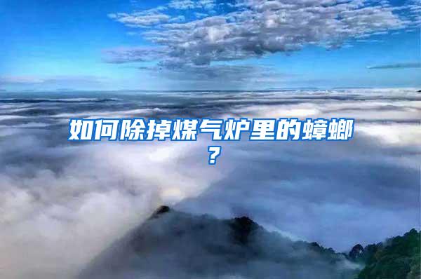 如何除掉煤氣爐里的蟑螂？