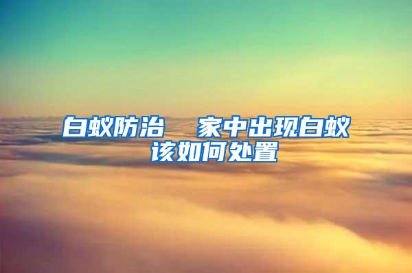 白蟻防治  家中出現(xiàn)白蟻 該如何處置