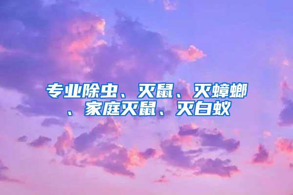 專業除蟲、滅鼠、滅蟑螂、家庭滅鼠、滅白蟻