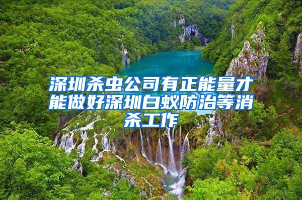 深圳殺蟲公司有正能量才能做好深圳白蟻防治等消殺工作