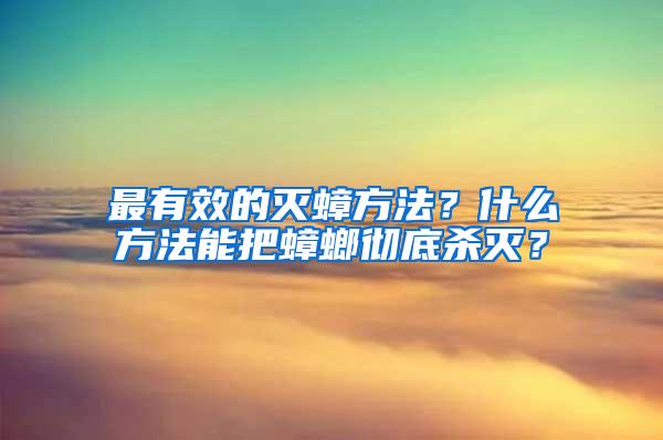 最有效的滅蟑方法？什么方法能把蟑螂徹底殺滅？