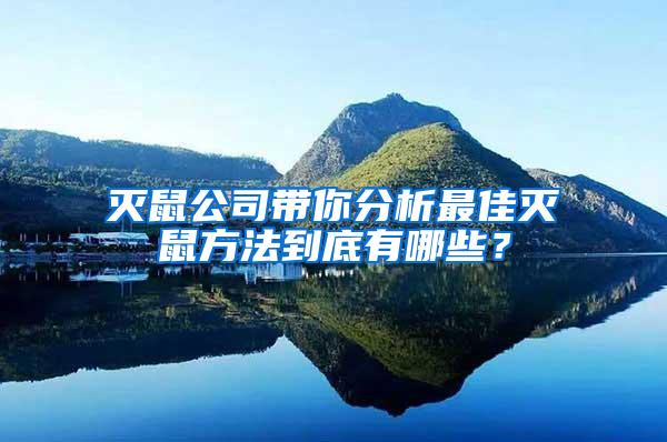 滅鼠公司帶你分析最佳滅鼠方法到底有哪些？