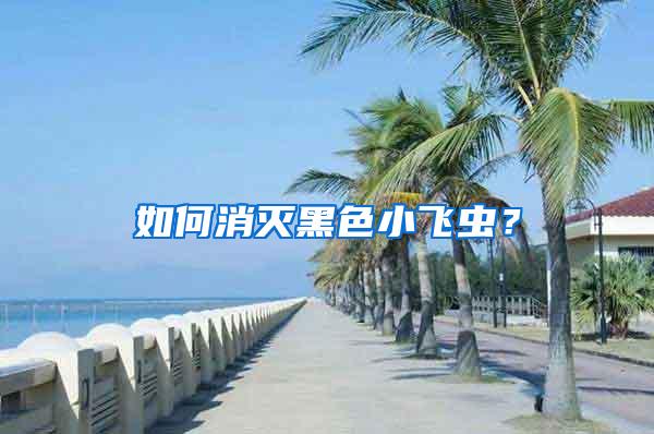 如何消滅黑色小飛蟲(chóng)？