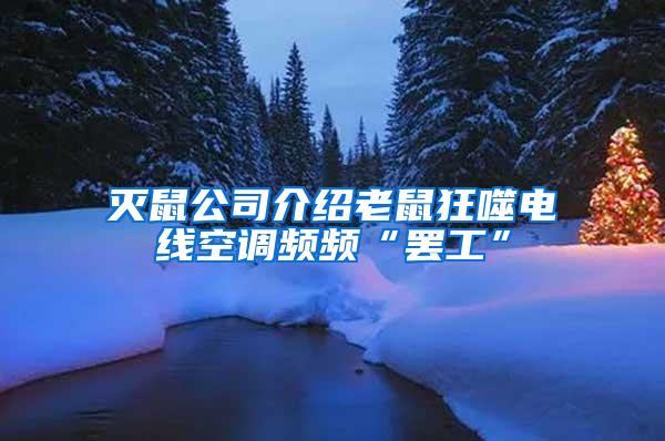 滅鼠公司介紹老鼠狂噬電線空調頻頻“罷工”