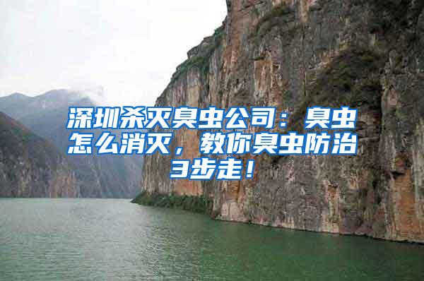 深圳殺滅臭蟲公司：臭蟲怎么消滅，教你臭蟲防治3步走！