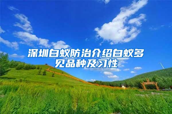 深圳白蟻防治介紹白蟻多見品種及習(xí)性