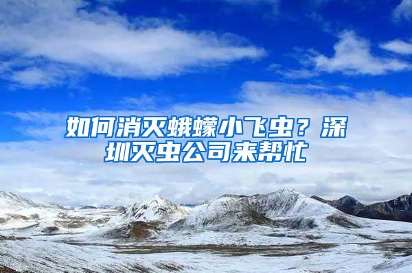 如何消滅蛾蠓小飛蟲？深圳滅蟲公司來幫忙