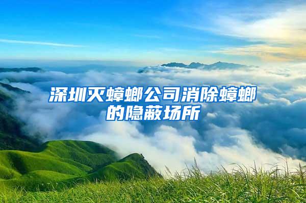 深圳滅蟑螂公司消除蟑螂的隱蔽場所