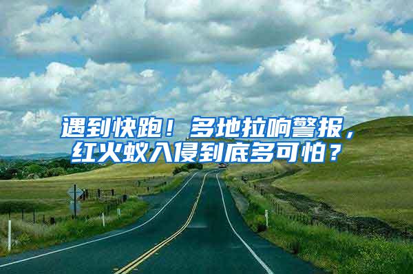 遇到快跑！多地拉響警報，紅火蟻入侵到底多可怕？