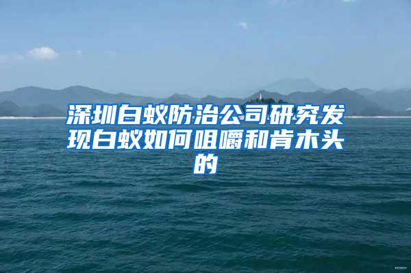 深圳白蟻防治公司研究發現白蟻如何咀嚼和肯木頭的