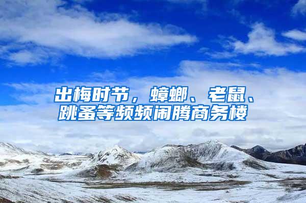 出梅時節(jié)，蟑螂、老鼠、跳蚤等頻頻鬧騰商務(wù)樓