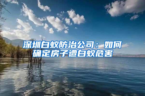 深圳白蟻防治公司：如何確定房子遭白蟻危害