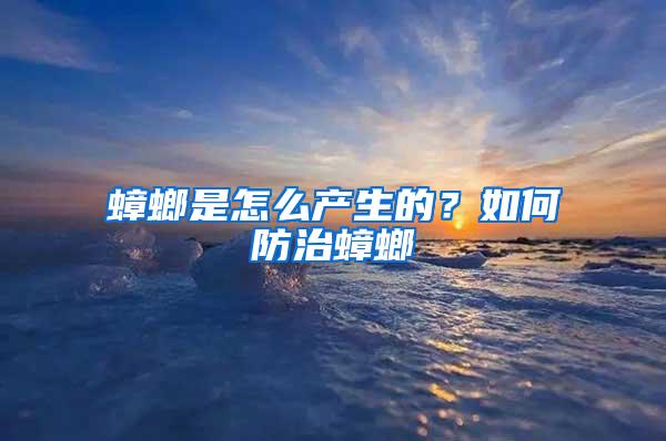 蟑螂是怎么產生的？如何防治蟑螂