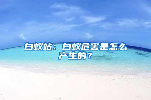 白蟻站：白蟻危害是怎么產生的？