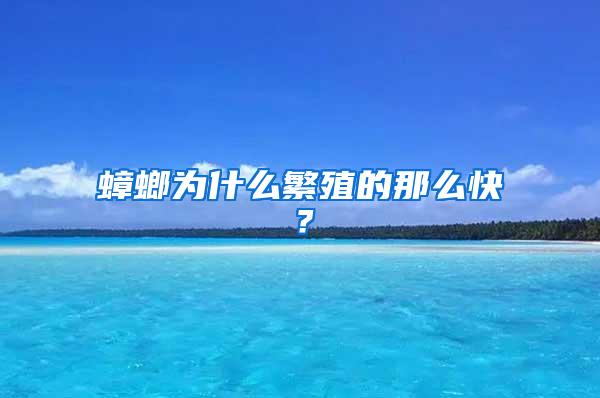 蟑螂為什么繁殖的那么快？