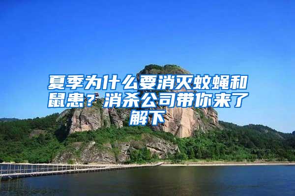 夏季為什么要消滅蚊蠅和鼠患？消殺公司帶你來了解下