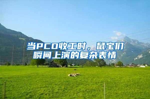 當PCO收工時，鼠寶們瞬間上演的復雜表情