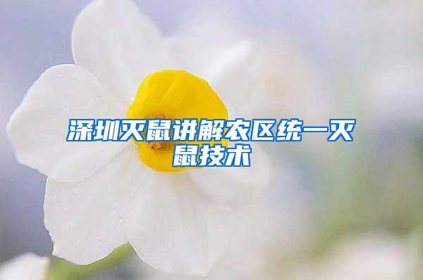 深圳滅鼠講解農(nóng)區(qū)統(tǒng)一滅鼠技術(shù)