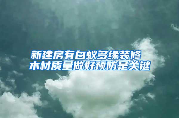 新建房有白蟻多緣裝修 木材質量做好預防是關鍵