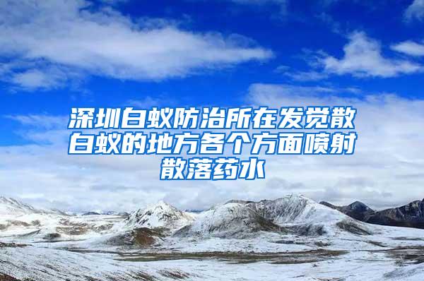 深圳白蟻防治所在發覺散白蟻的地方各個方面噴射散落藥水